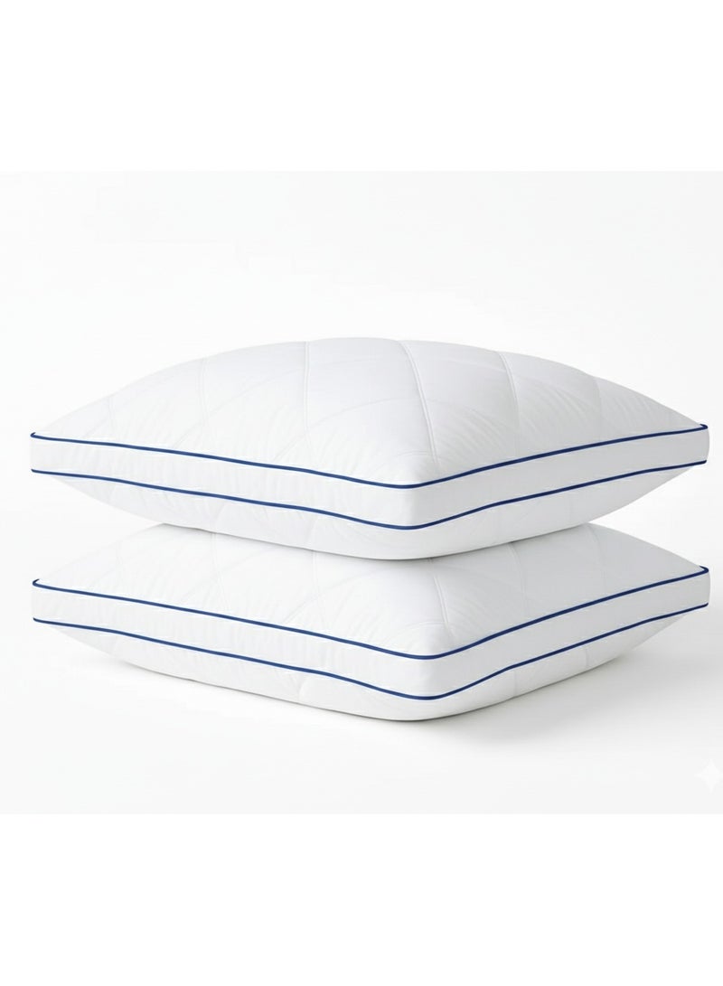 Somerfield Somer Field - Gusset Bed Pillows for Sleeping - Queen Pillows 2 Pack-Cooling Pillows - Premium Soft Down Alternative Fill Supportive for Back, Stomach or Side Sleepers (Blue Piping) - Image 1